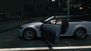 GTA 5 Hooker Service In The Car