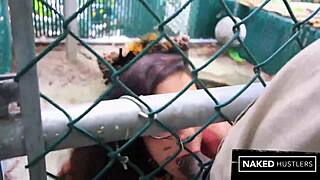 Bbc hardcore interracial caged kitty turns out to be a big pussy