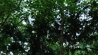esclave f gets humiliated outdoors in the forest