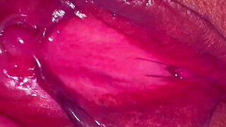 Amateur pink pussy 275 days after losing virginity