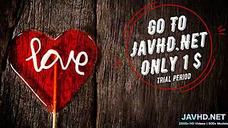 ねえ、日本の巻き毛マンチみたいなの見たことある？Vol.41