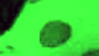 Nem hiszem el, hogy a sógornőm elrángatott a házába egy vad meglepetésre!