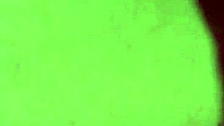 คอนแวนต์แห่งทารัส โปรบิดัส: ความปรารถนาต้องห้ามของปี 1979 เปิดเผย