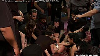 zorra morena impresionante se deja fistear en público