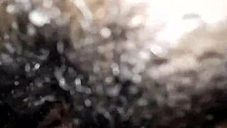 Romansa cepat dengan cewek seksi berisi